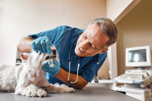 Best Emergency Tooth Extraction in Quitman, GA